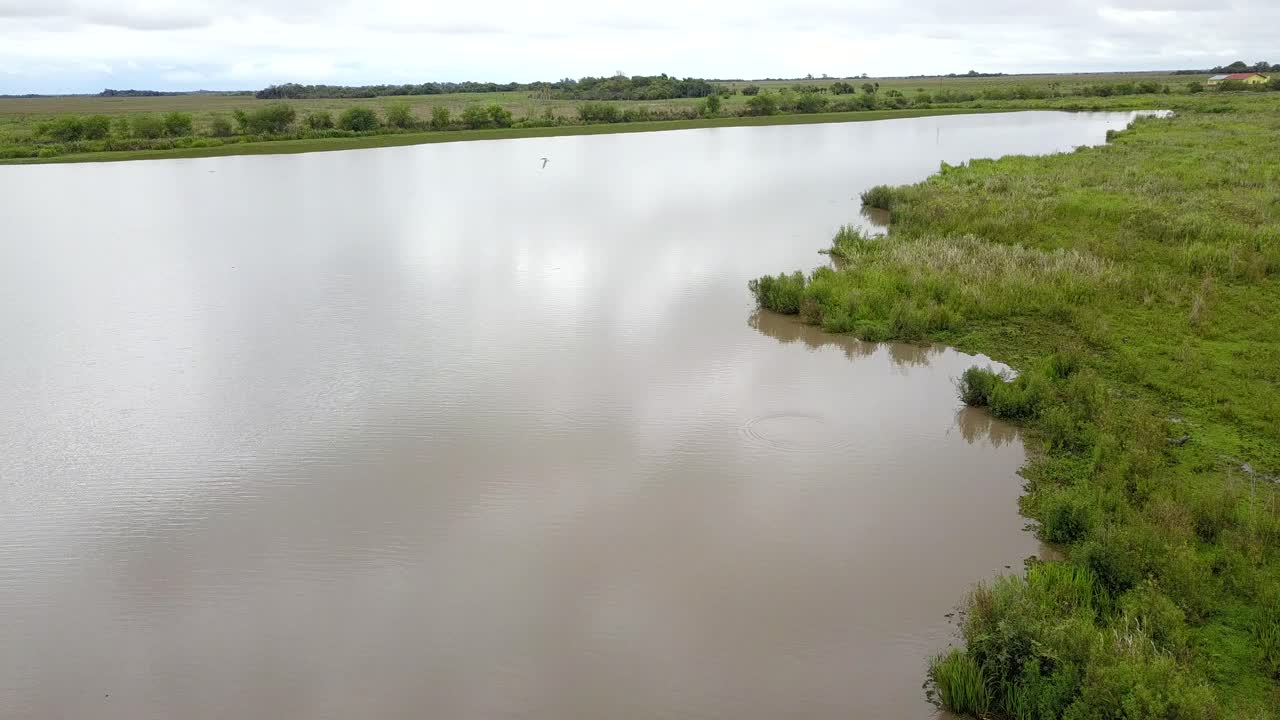 водно-болотные угодья северо-восточной аргентины обстреляны дроном