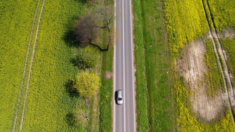 Luftaufnahme-Von-Oben-über-Eine-Asphaltstraße-Mit-Fahrenden-Autos-Und-Zwischen-Reifenden-Raps--Und-Getreidefeldern-–-Bäume-Stehen-An-Der-Straße-Und-Gras-Wächst-Auf-Der-Fahrbahn