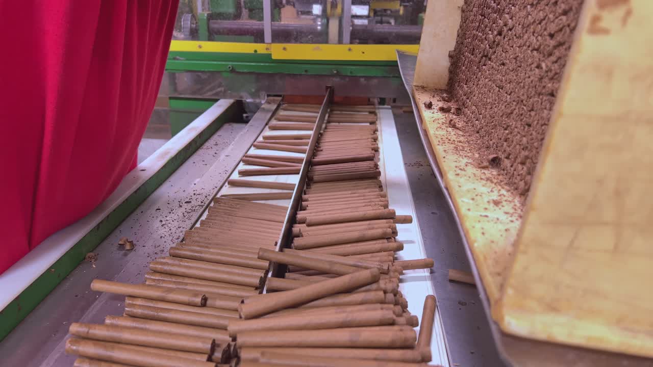 Worker Stacking Tobacco Cigars At Production Line Of Factory In Dominican Republic