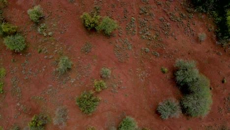 Grüne-Kenia-bauernhöfe,-Arme-Siedlung-Siedlung-Afrika-Agronomische-Plantage-Aus-Der-Luft