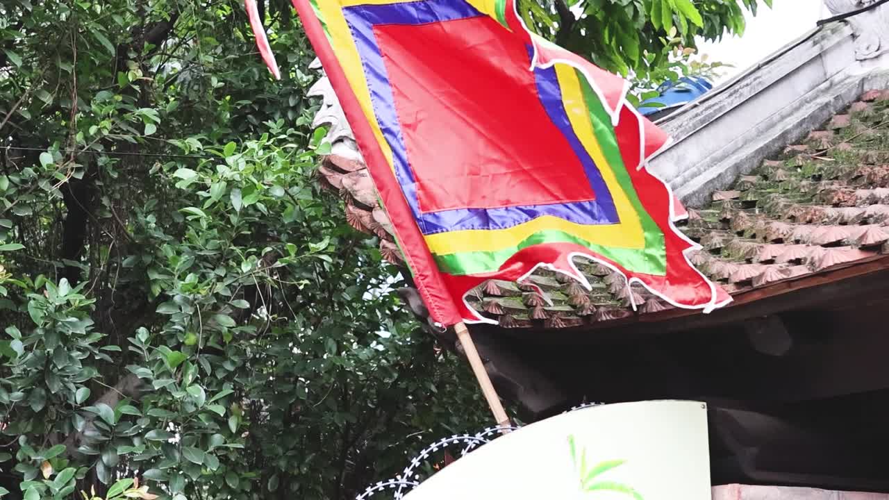 다채로운 발이 초록색을 배경으로 날아다니고 있습니다.