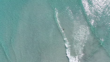 Playa-De-Tasmania,-Olas-Desde-Arriba