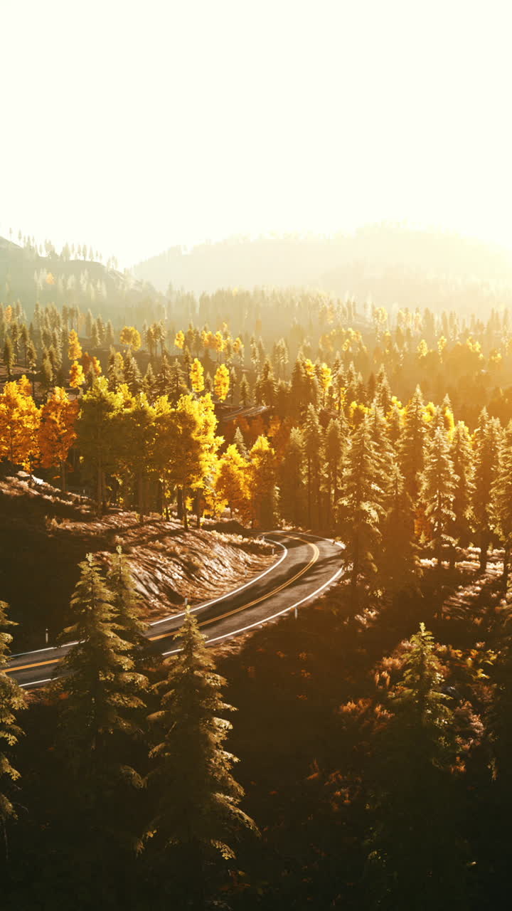 가을에 숲을 가로질러 휘어지는 도로