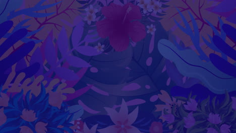 animation of colourful butterflies over plants