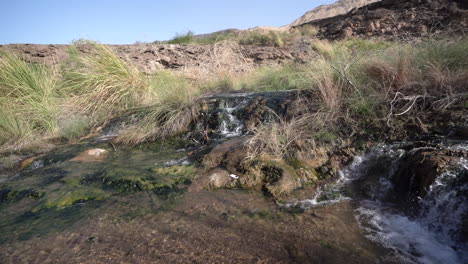 a hot water mountain stream runs downhill near the dead sea