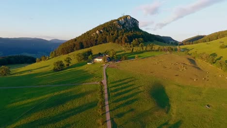 Gama-De-Vacas-Jura-De-Las-Tierras-Altas-Suizas