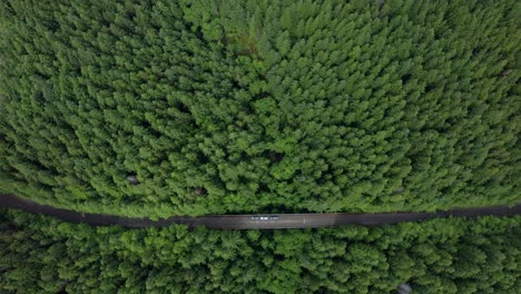aerial panning up from vehicles on forested road to large lake over trees