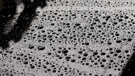 gotas de agua en el coche negro con recubrimiento de vidrio