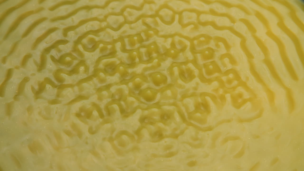 la superficie amarilla y tranquila comienza a vibrar y forma diferentes patrones cimáticos.