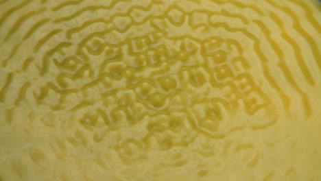 yellow calm surface starts to vibrate and forms different cymatic patterns