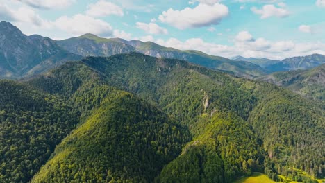 aerial view green trees in the mountains look amazing in the middle of summer