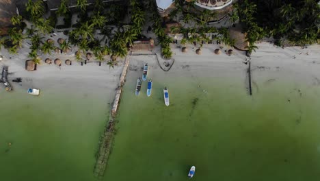 tiro ascendente a vista de pájaro, botes bomba en la costa de isla holbox, méxico, vista panorámica de aguas verdes, palmeras y casas en el fondo