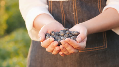 Bauer-Hält-Eine-Schüssel-Blaubeeren