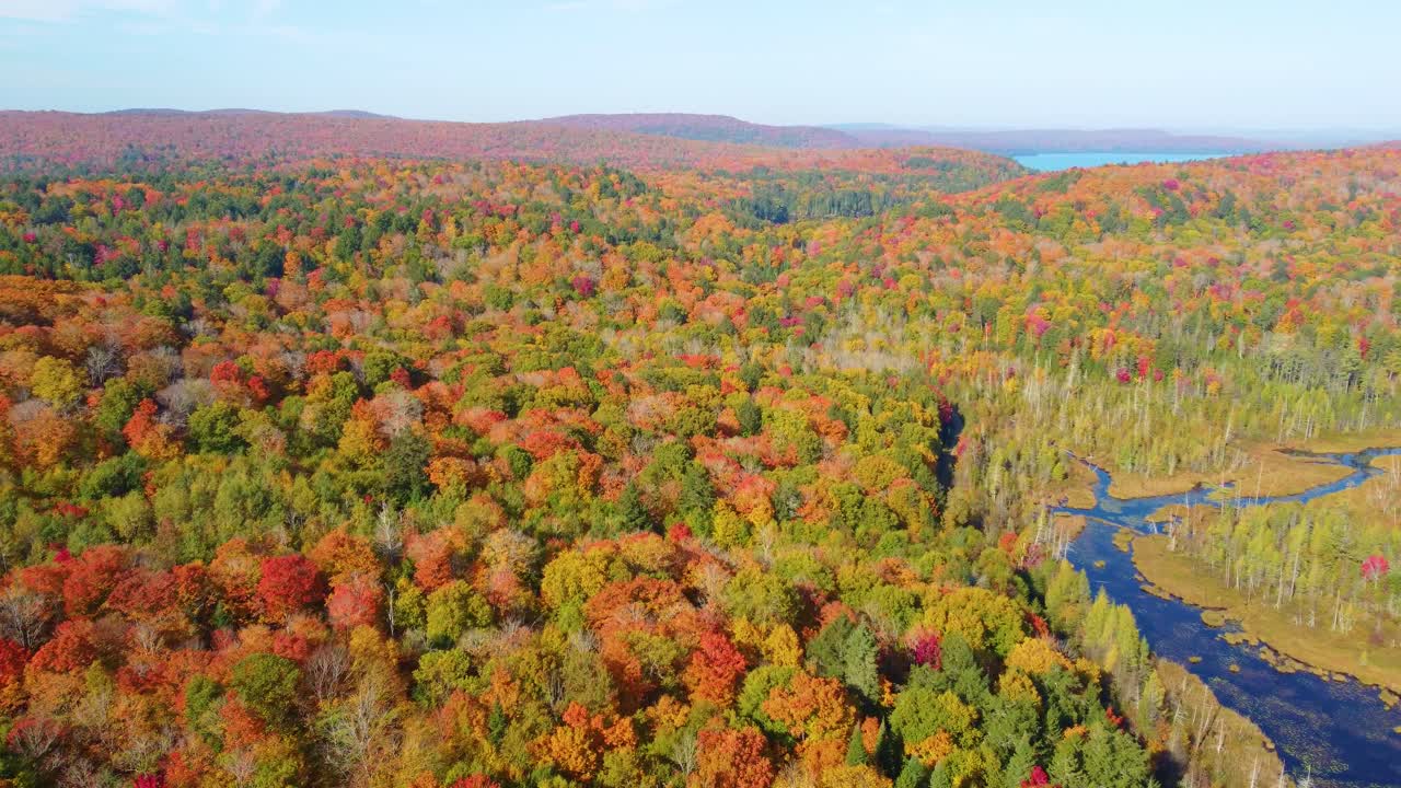 volar sobre el paisaje de otoño con árboles coloridos en el bosque, montreal, quebec, canadá