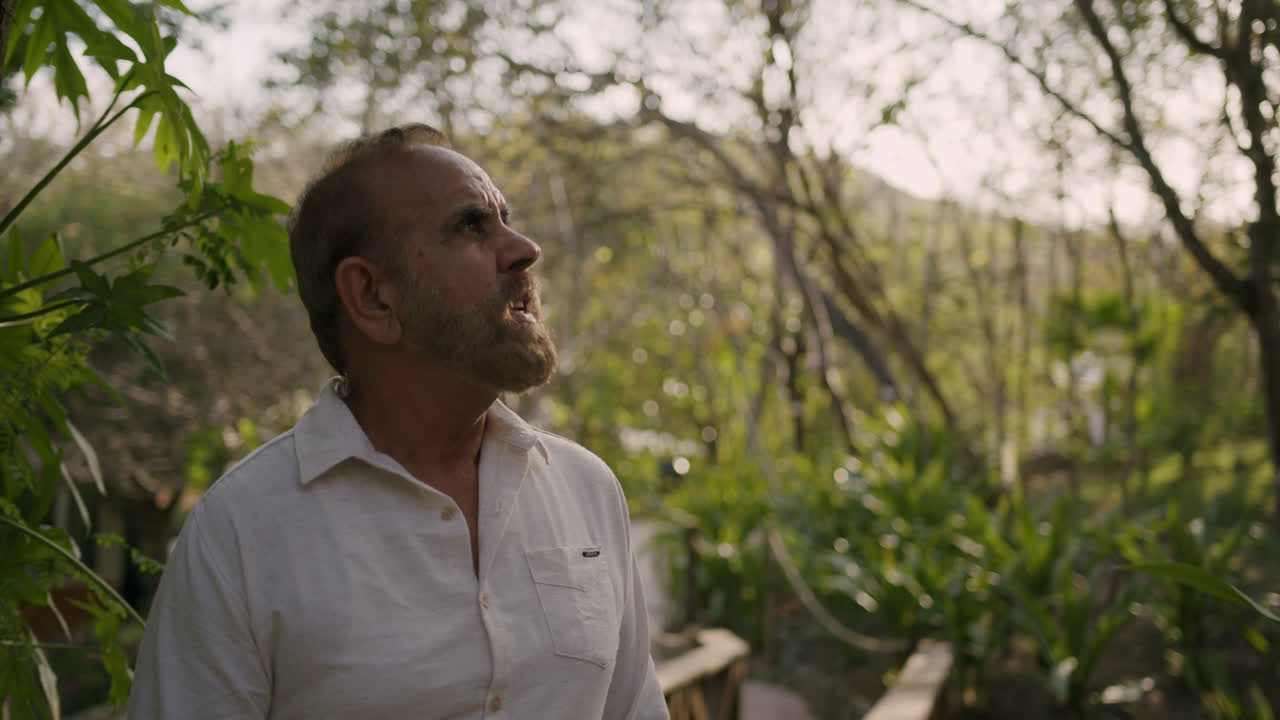una persona mayor camina tranquilamente por la naturaleza y se detiene para escuchar el canto de los pájaros en los árboles, mira a su alrededor y sonríe