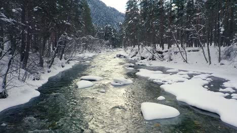 Schöner-Schneeszenenwald-Im-Winter.-Überfliegen-Von-Fluss--Und-Kiefernbäumen,-Die-Mit-Schnee-Bedeckt-Sind.