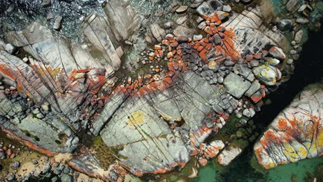 Bay-Of-Fires-Drone-Top-View-of-Orange-Boulders-Tasmania,-Australia