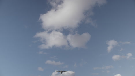 Airplane-flying-overhead