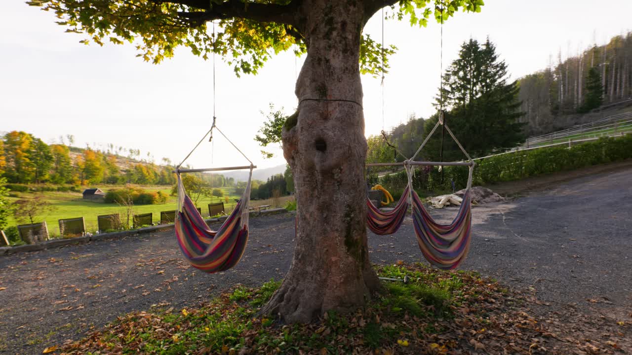 imágenes en 4k filmadas en noviembre de 2022 en turingia con panasonic s1, ronin rs3 pro y tilta float