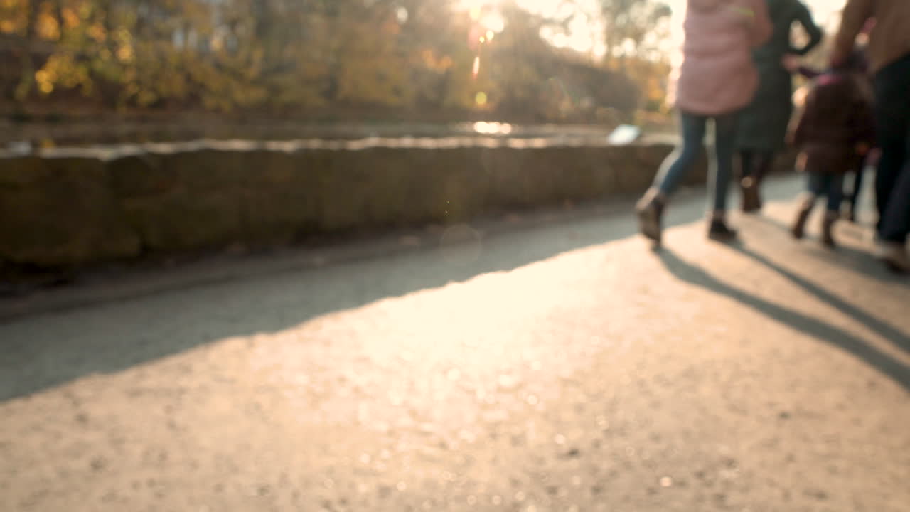 폴란드 그단스크에 있는 파크 올리프스키에서 나무와 밝은 태양 플레어가 있는 오리 연못 배경 근처의 산책로를 함께 걷는 행복한 가족