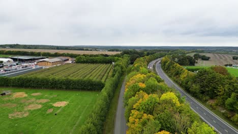 drone shot over a green and yellow coloured