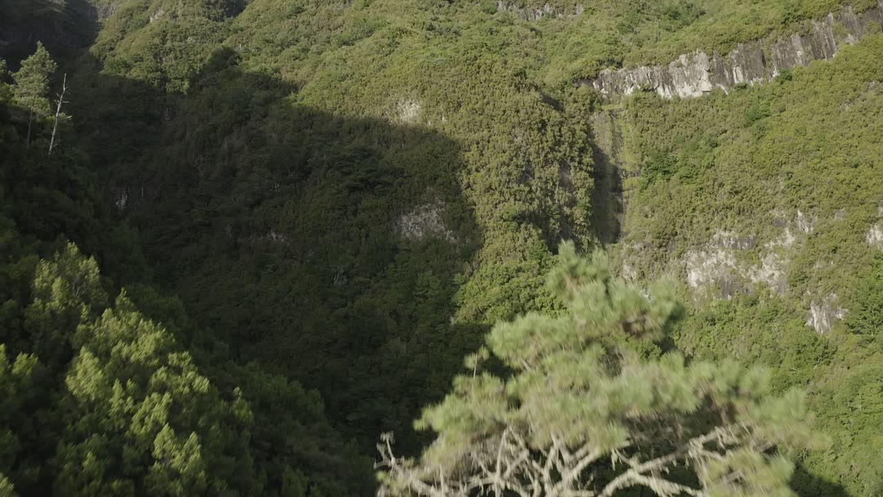 toma de drone del paisaje en caminho do pinaculo e foldhadal en madeira