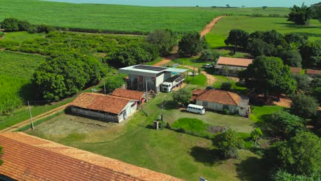 aerial view of a farm where happy chickens produce eggs for distribution in brazil