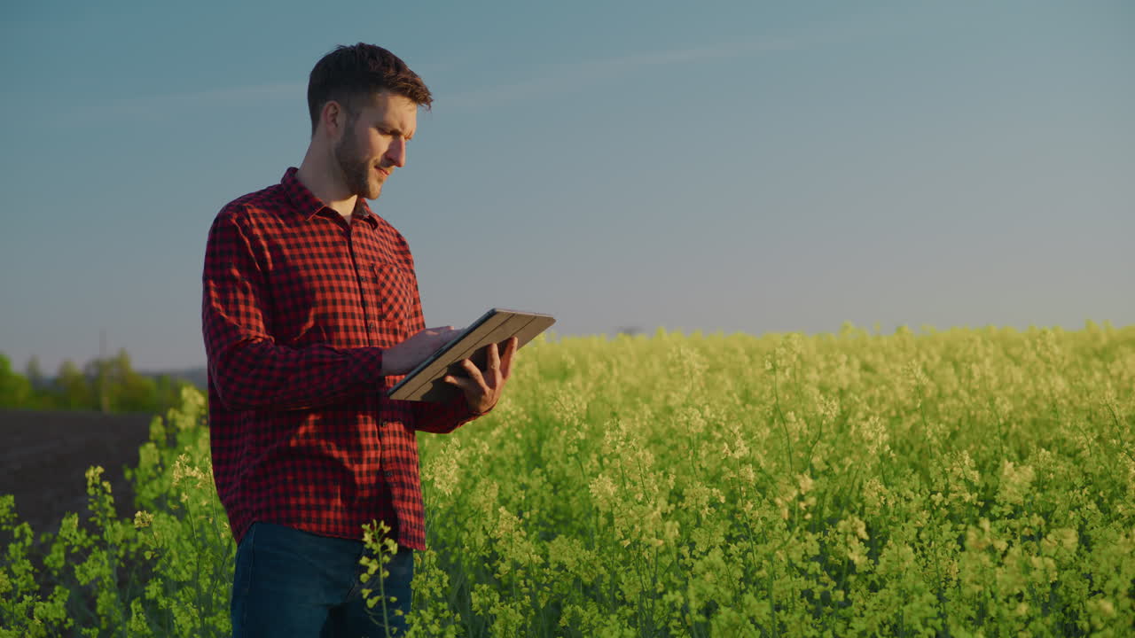 Farmer Using Digital Tablet in Rapeseed Field