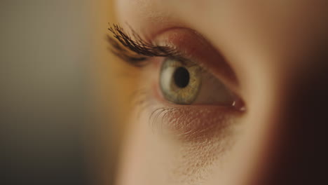 fotografía de primer plano de un ojo humano femenino