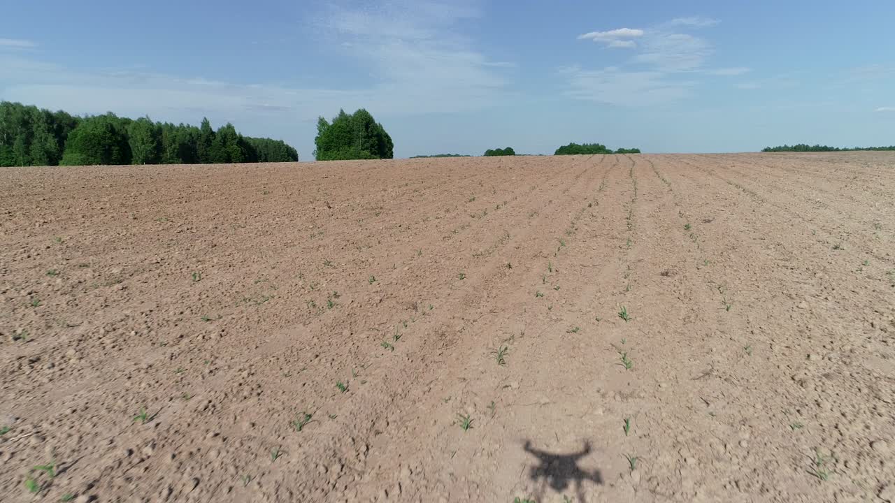 아름다운 초록 숲 속의 농장 근처에 있는 아름다운 작은 마을입니다.