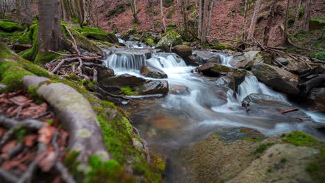 a flowing river surrounded by lush moss-covered rocks and trees, captured in a hyperlapse