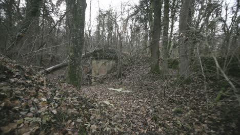 vista del bosque que aún incluye fortificaciones de ww1