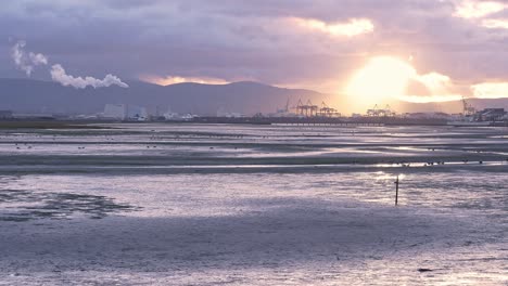 Recortadas-Contra-Un-Poderoso-Rayo-De-Sol-Vespertino,-Las-Grúas-De-La-Zona-Industrial-Portuaria-De-Dublín-Enmarcan-Una-Vista-Pintoresca-De-Bull-Island-Durante-La-Marea-Baja