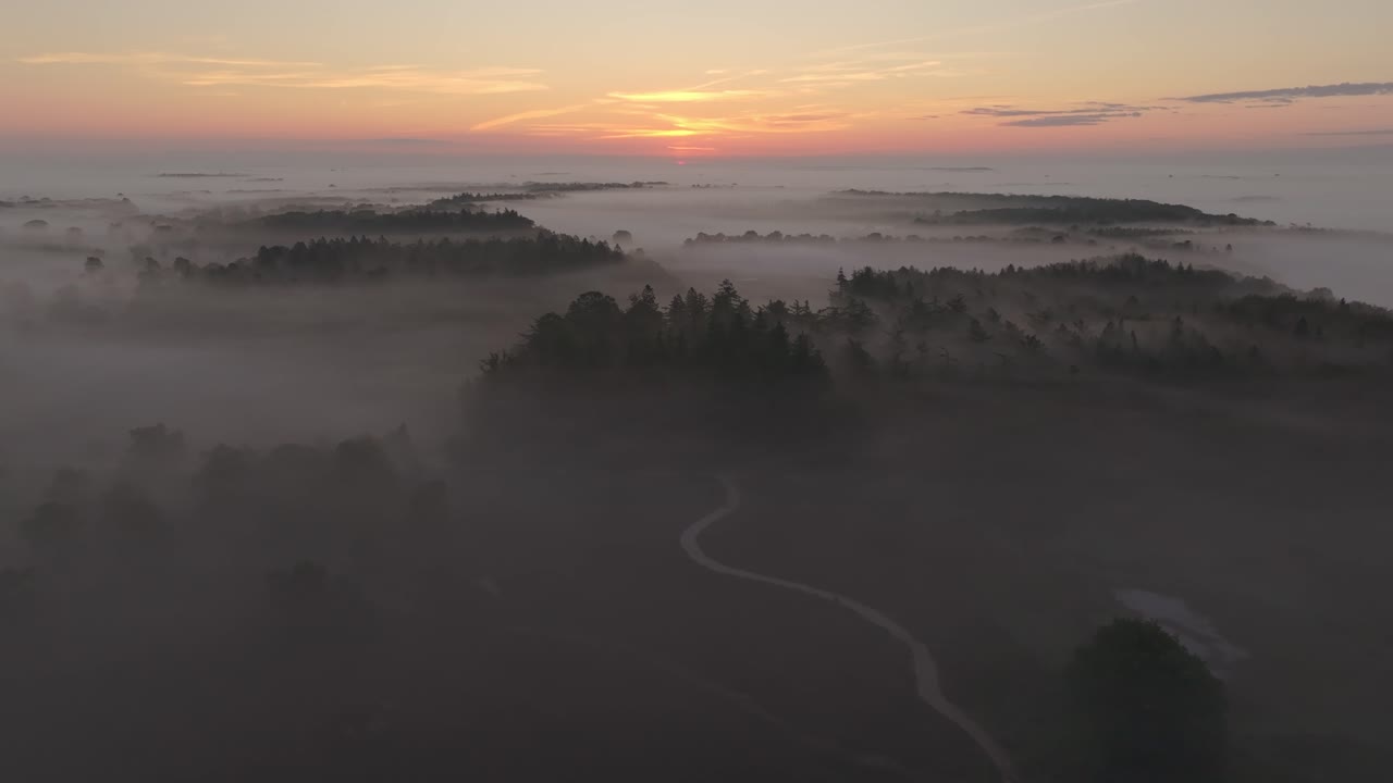 네덜란드 의 이른 아침 에 보라색 으로 가득 찬 히더 의 공중 풍경
