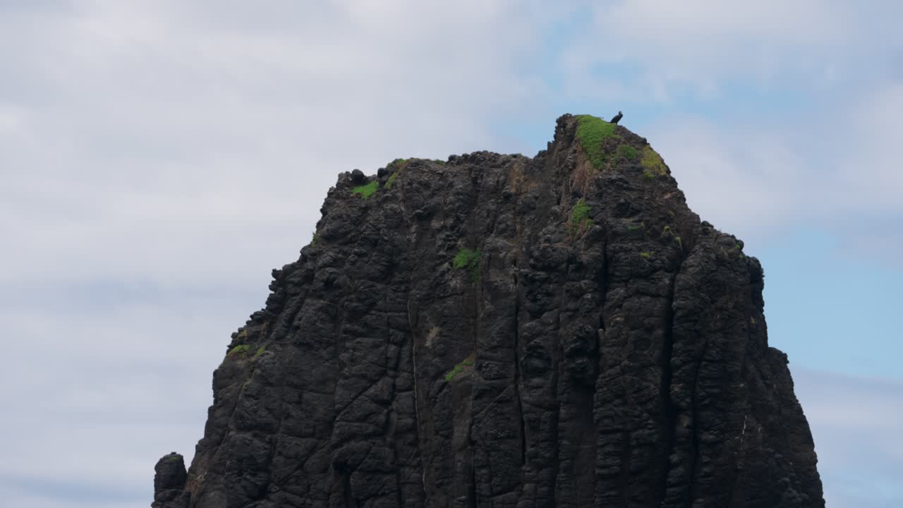 A bird perched at the top of a towering standing rock, overlooking the vast landscape in a serene outdoor setting.