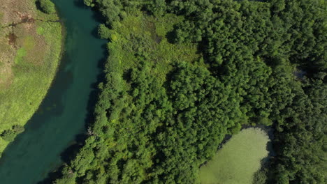 aerial view of an artificial lake overgrown with flora