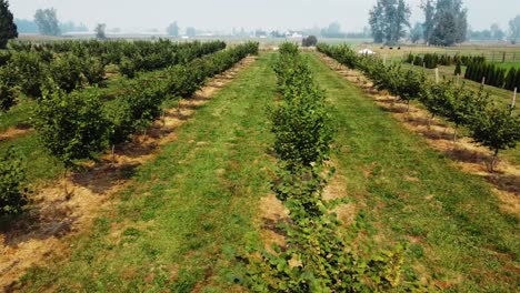 Imágenes-De-Drones-De-Derecha-A-Izquierda-De-La-Granja