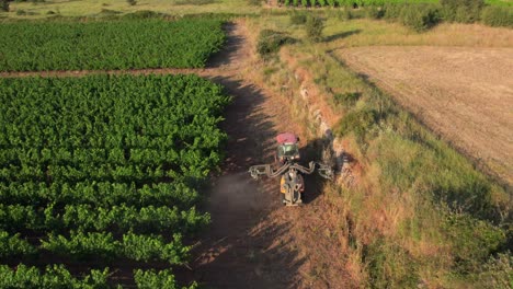 Las-Prácticas-Agrícolas-No-Orgánicas-En-Los-Viñedos-Franceses-Contribuyen-Al-Veneno-Agrícola,-Contaminando-Tanto-La-Tierra-Como-Los-Alimentos