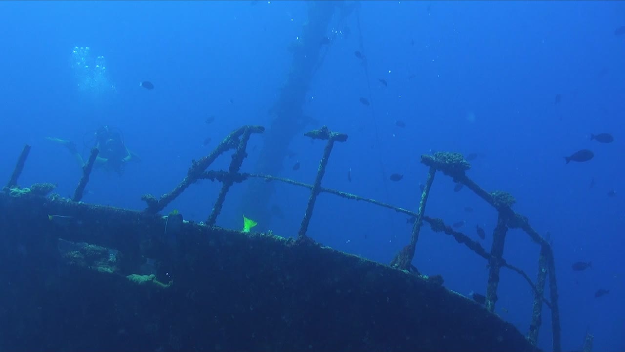 난파선 위를 헤엄치는 여성 스쿠버 다이버