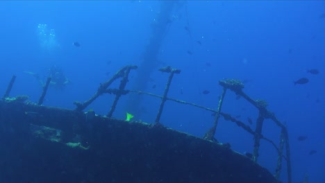 Weibliche-Taucherin-Schwimmt-über-Schiffswrack