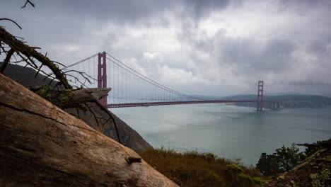 a motion time lapse of the golden gate bridge in san fransisco from a unique perspective being revealed from behind an old tree in the woods of marin county
