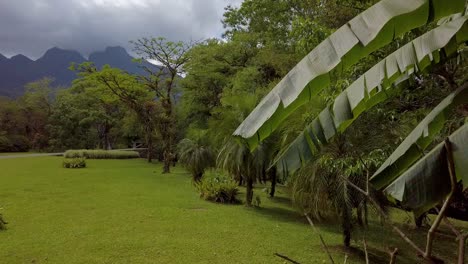 Tropische-Berge-Im-Süden-Von-Brasilien