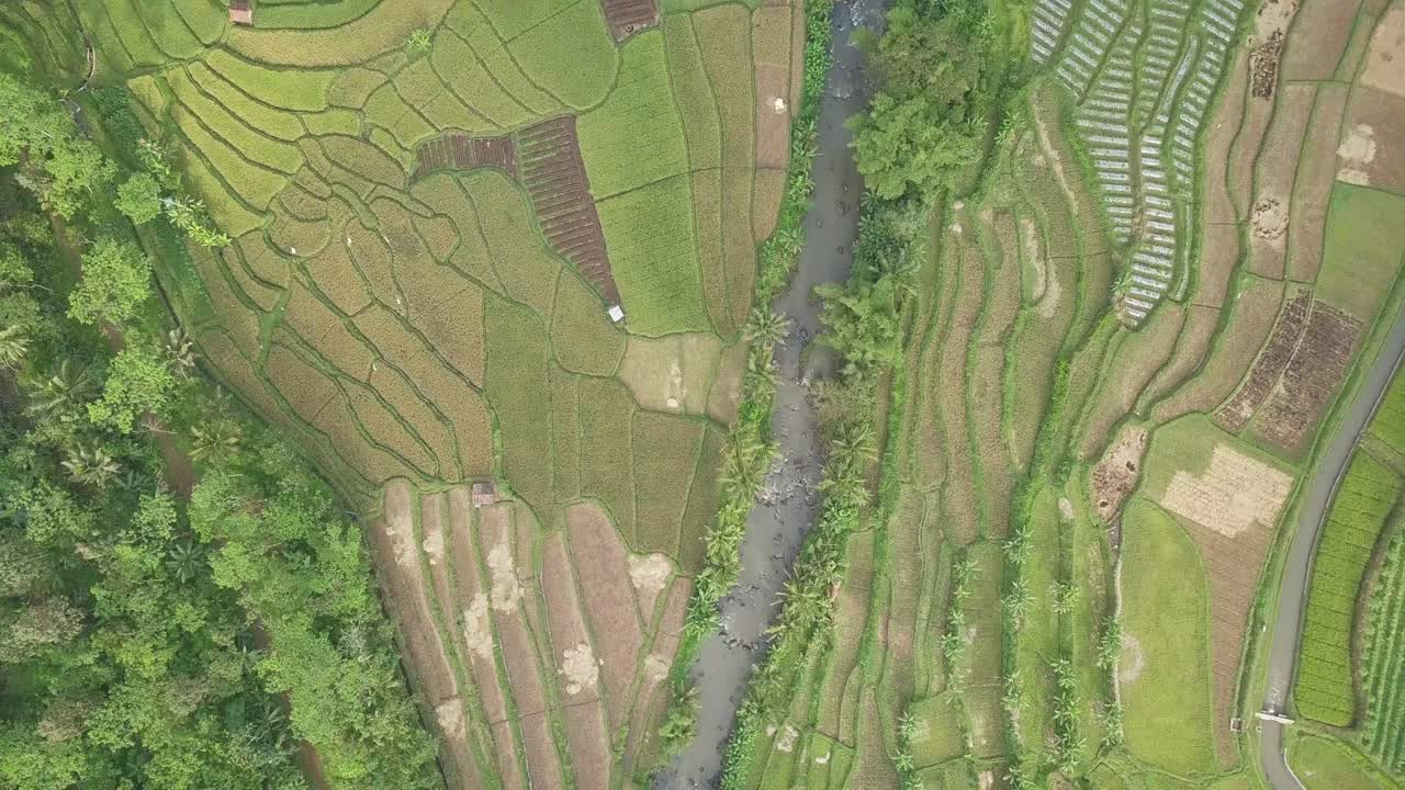 sobrevuelo aéreo hermosos campos de arroz de granja con diferentes patrones y río que fluye en indonesia