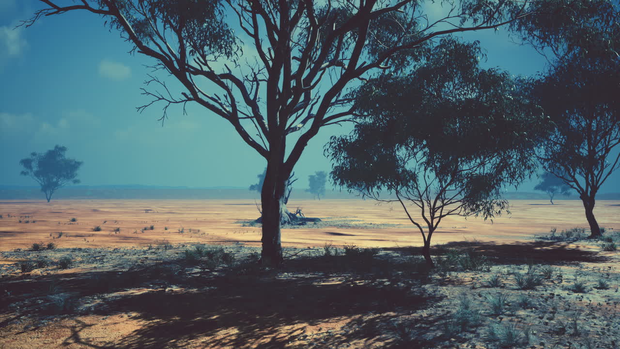 paisaje desértico del interior de australia