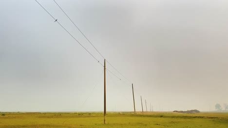 a panning shot of a rural electric line in a remote landscape of bangladesh, showcasing the concept of development in rural areas