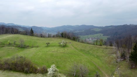 Colorful-landscape-with-green-meadows,-houses-with-gardens