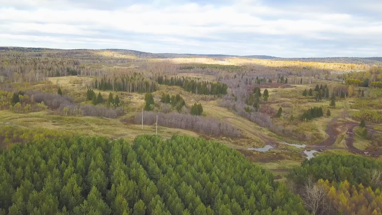 Aerial View of Autumn Forest Landscape