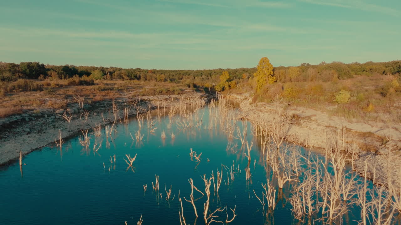 árboles que crecen en el embalse del lago georgetown, avión no tripulado se aleja sobre las ramas al atardecer, un suburbio de austin, texas