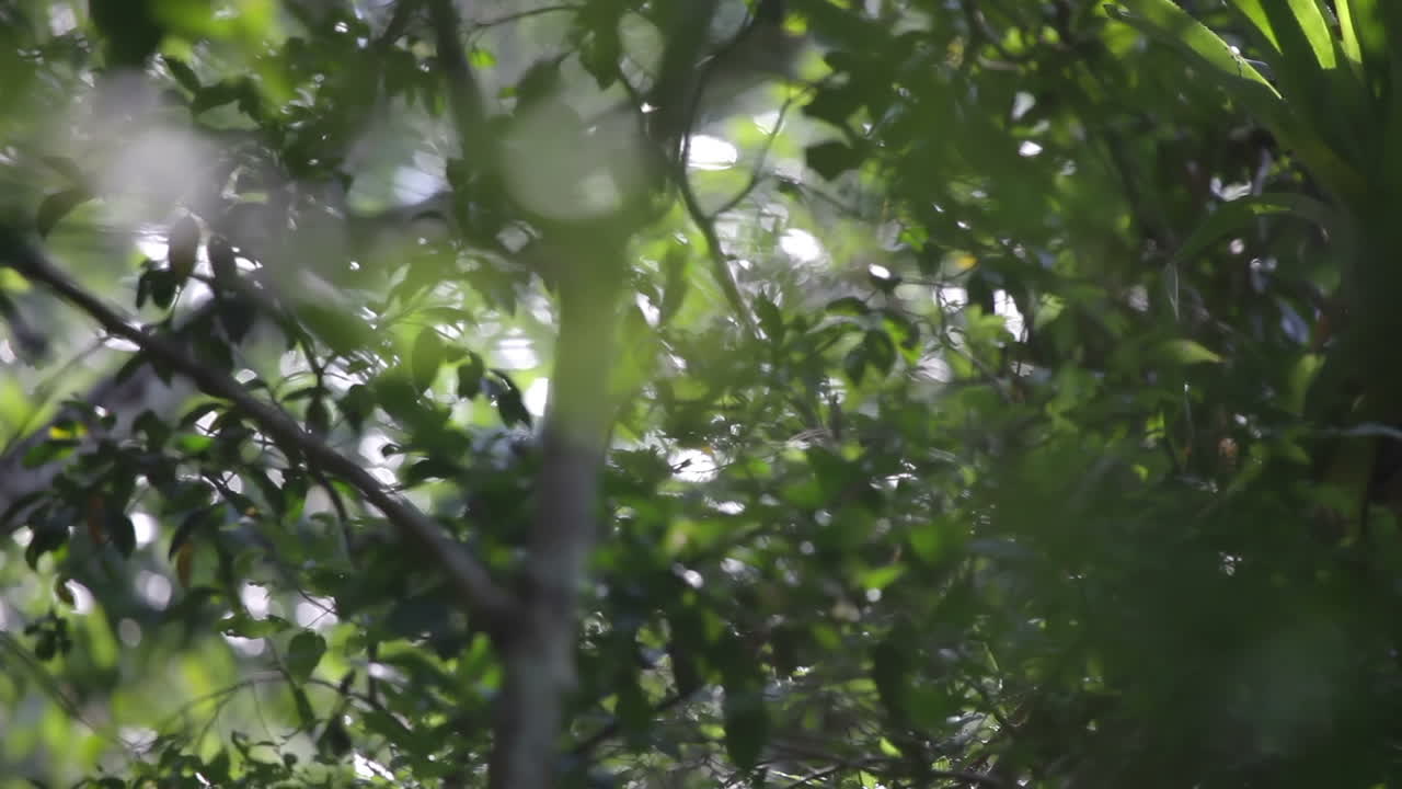 森林管理中心 08