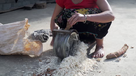 unrecognizable vietnamese woman striping cassava root in squat down